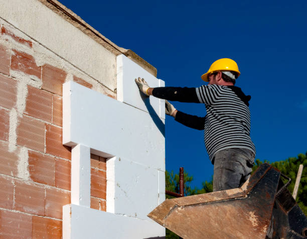 Best Spray Foam Insulation  in Churubusco, IN