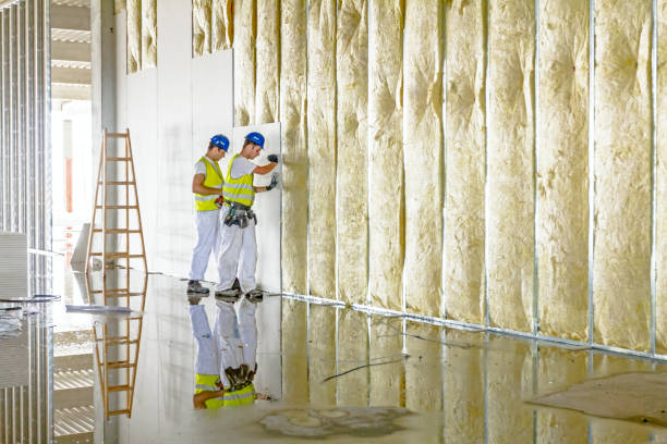 Best Insulation Contractor Near Me  in Churubusco, IN